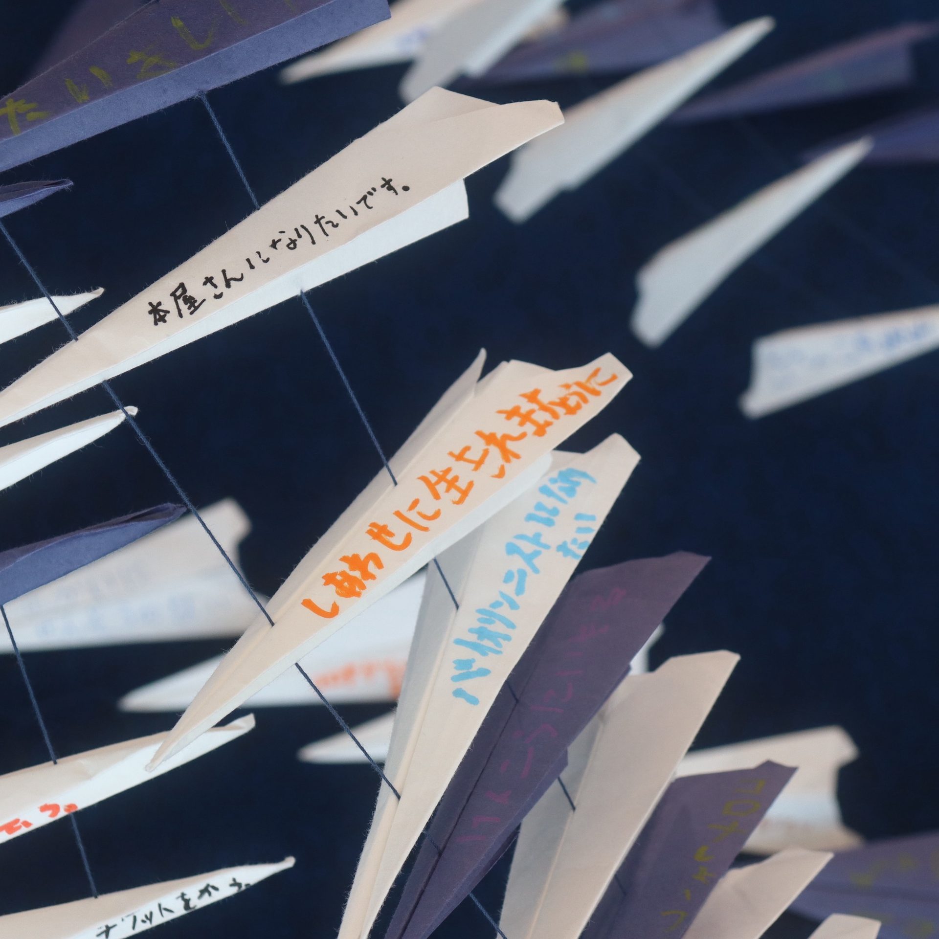 Tokyo Creative Salon 2024 3