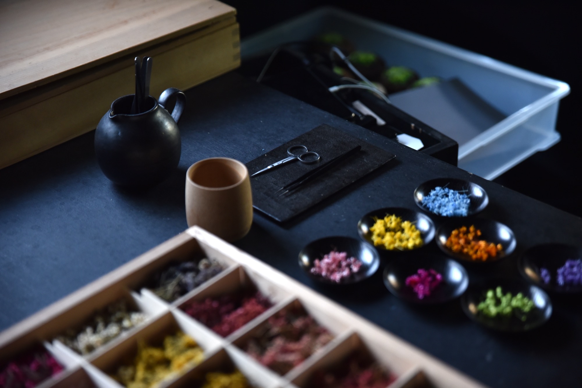 Wandler × Kamei san