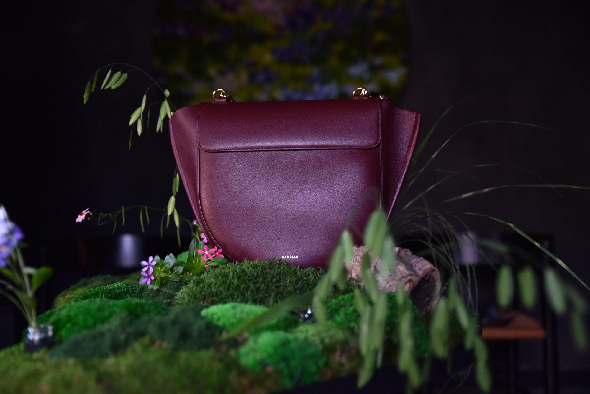 Wandler × Kamei san 2